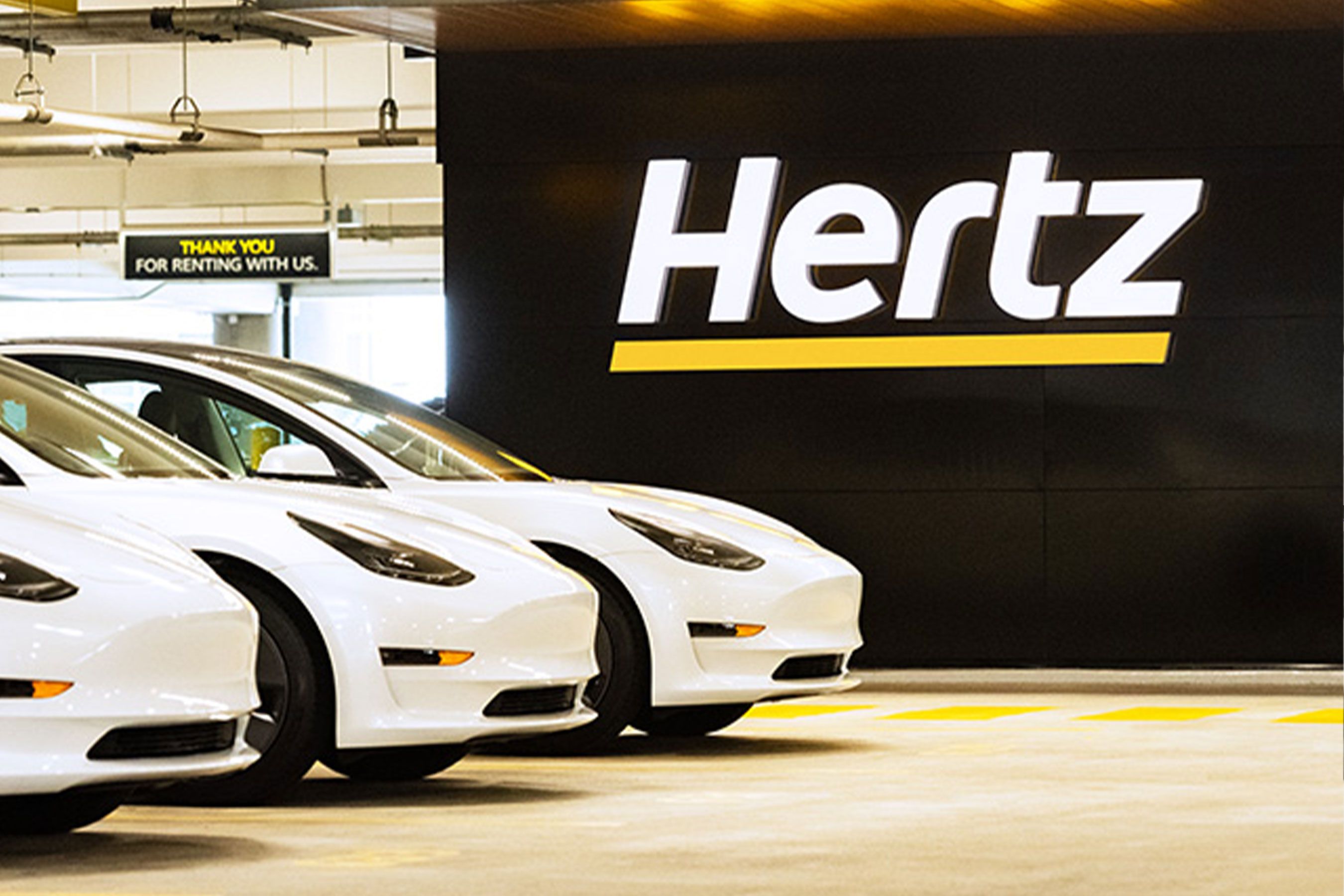 Hertz Car Rental