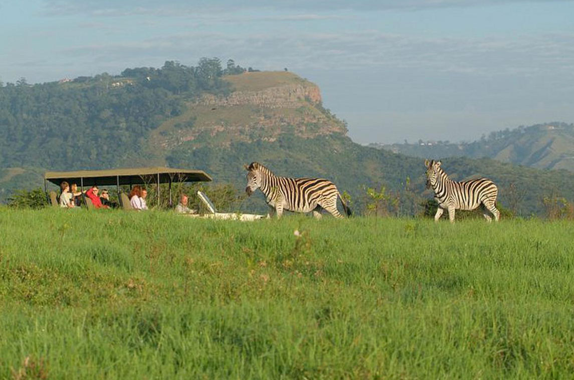 phezulu safari farm